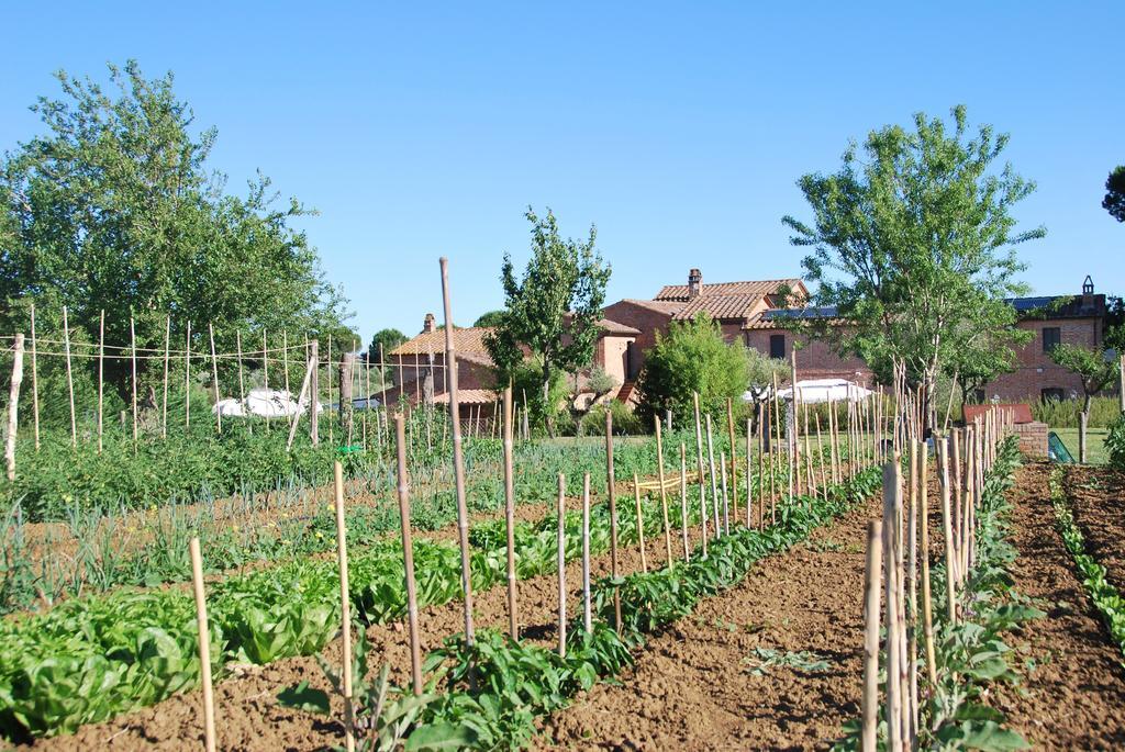 Agriturismo Le Torri Di Porsenna Petrignano Del Lago Exterior foto
